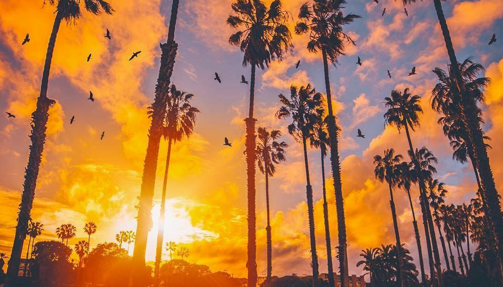 スピリチュアルカウンセリング（対面 or Zoom）